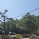 하대야동 이미지