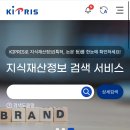 모바일 정보검색 | [지식재산처 KIPRIS 서포터즈] 개편된 KIPRIS 지식재산정보 검색 서비스, 홈페이지 후기