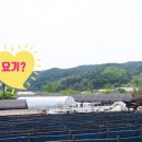 화림농장 이미지