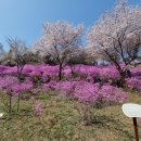 부천종합운동장 이미지
