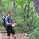 경희일침한의원 이미지