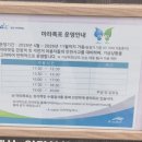 아라유리 | 아이와 함께 가볼만한 곳, 아라마루전망대 후기 (주차·꿀팁 총정리)