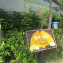 읍성작은도서관 이미지