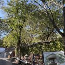 1코스 입구 | [사당역 → 관악산 1코스] 여자 혼자 다녀온 관악산등산 후기｜입구부터 정상까지 현실적인 소요시간...