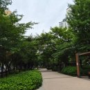 [달리기] 구로거리공원 산책로에서 슬로우조깅하고 콤포즈 수박주스까지