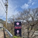 식물101 | [하동] 하동 십리벚꽃길 뷰 좋은 베이커리카페 '더로드101' 내돈내산 솔직후기