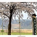 남대천로 이미지