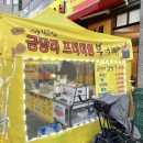 금당리프리미엄 이미지