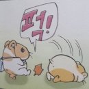 에라 걍 앙끼들 궁둥이나 걷어차고 다닐래 이미지