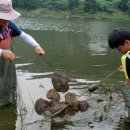 금강1호기 이미지