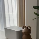 지혜로운생활연구소 | 집들이 선물 추천 - 곰돌이/선인장/토끼 가위(feat.지혜로운생활연구소, 퀄리 가위)