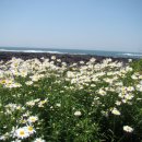 대평공원 이미지