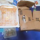 꼬꼬뽀끼 이미지