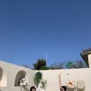 아셉오어 이미지