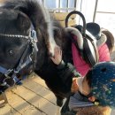 말순농장 이미지