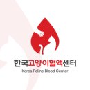 한국고양이혈액센터 이미지