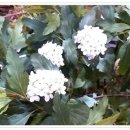 신중동이발소 이미지