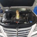 선진자동차정비공업사 이미지