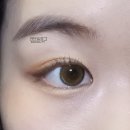 홀리브 | 렌즈미 메이크오버 원데이 홀리브,위키,베이블리 브라운 후기