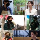 더마이웨이 이미지