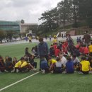 제주대학교교육대학부설초등학교 이미지