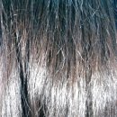 샤인헤어샵 이미지