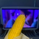 만족하개 | 오언니 블로그 1살 ㅊㅋ