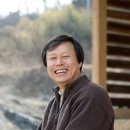 금성 담쟁이 이미지