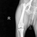 삼화 우수한동물병원 이미지