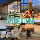 둔포애견 이미지