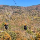 월아산 숲속의 진주 이미지