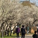 용답역(2) 이미지