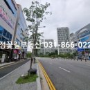 옥정천년나무8단지 앞 상가 도로 이미지