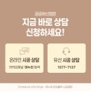 증평대광로제비앙 | 충북 증평대광로제비앙 33평 증평 층간소음매트 시공사례