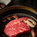 일산 최고 한우를 만나다 대화동맛집 마장축산정육식당 원마운트점 방문 후기