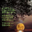 "'水山會' 49회 '올림픽공원' 및 '석촌호수' 산책"＜2024.04.03(수)＞ 이미지