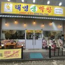 [당진 현지인 맛집] 잡내 없는 대덕동 ‘태영생막창’