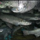 남해수산2 이미지