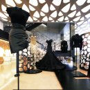 꼬모의 산책 이미지