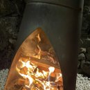 빈도롱이 이미지