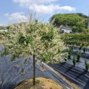 득근농장 이미지