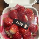 코코로팡 이미지