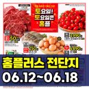 홈플러스 전단 행사 전단지 미리보기 (6월 12일 ~ 6월 18일)