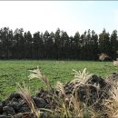 신흥사슴목장 이미지