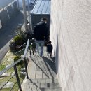 동복에 머물다 이미지