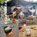[가평 백자동캠핑장] 재방문 수도권 계곡캠핑장 에르젠 타프쉘 캠핑요리 닭백숙 기념일캠핑