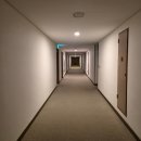 비비큐올리브카페삼척점 | 삼척 쏠비치 리조트 스위트 스탠다드 룸 숙박 후기