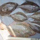 고하대로 672 ~672-1 Daum카페