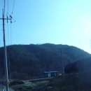 초계우체국 티스토리