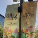 봄,푸드 | 2026 서울식물원 해봄축제 후기｜마곡나루 주말 나들이 무료 봄축제 추천